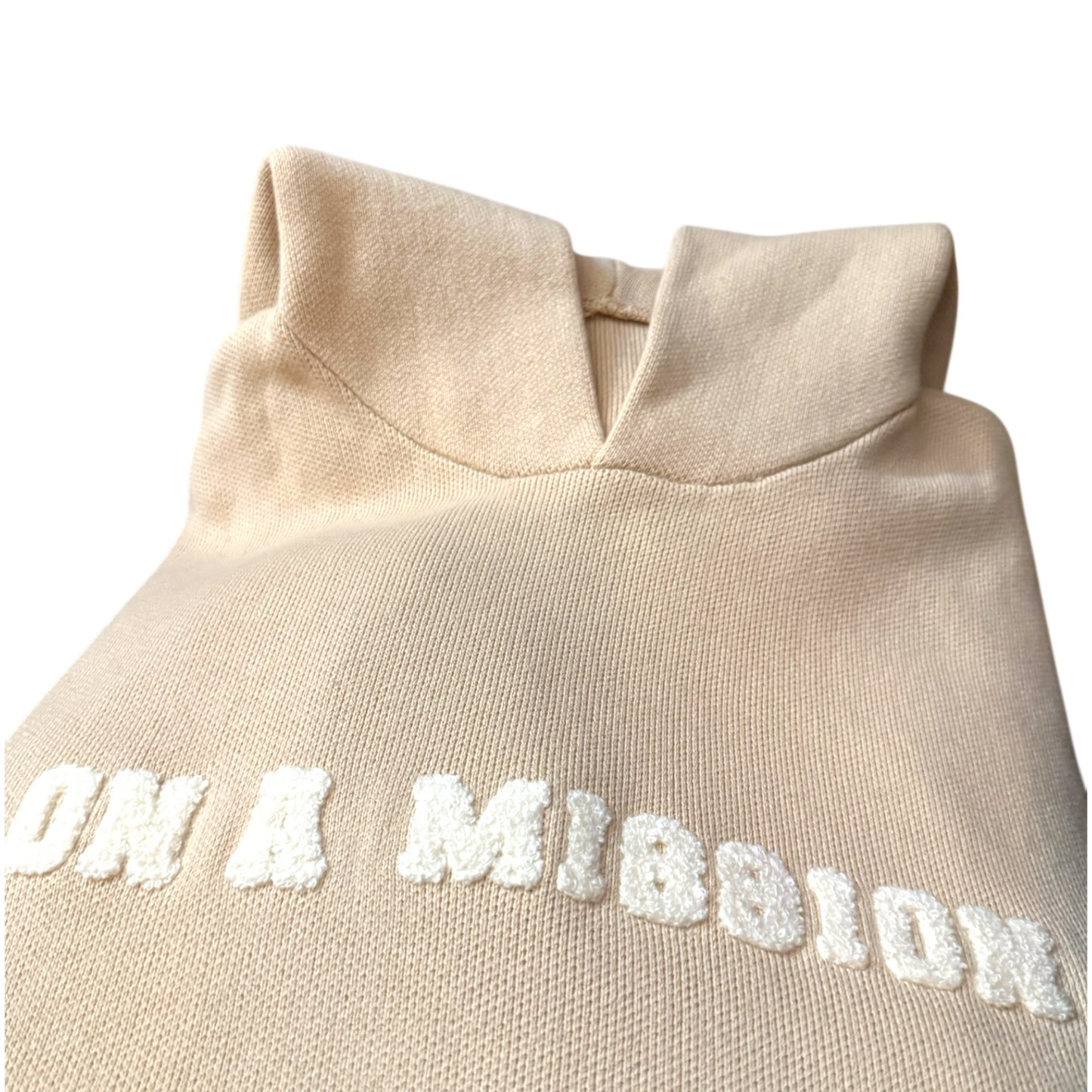 (PRE-ORDER 3 WEEKS) On A Mission Bone Hoodie